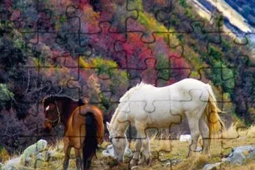 Caballs jigsaw puzzle