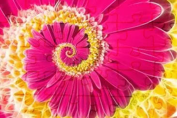 Fractal Flower