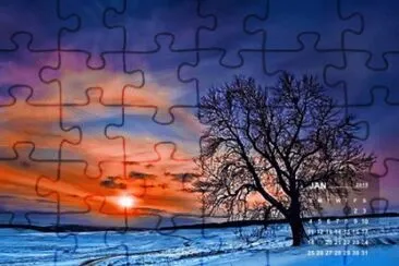 jan2 jigsaw puzzle