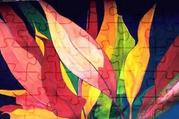 Hawaiian Leaves
