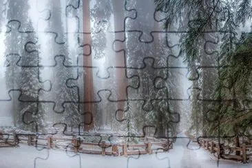 Pinos jigsaw puzzle