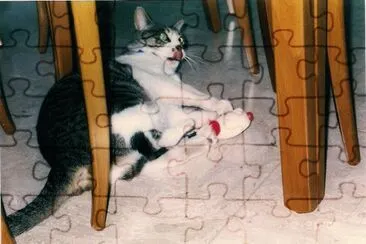 dany jigsaw puzzle