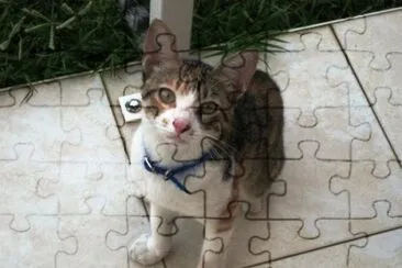 July jigsaw puzzle