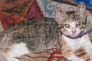 July jigsaw puzzle