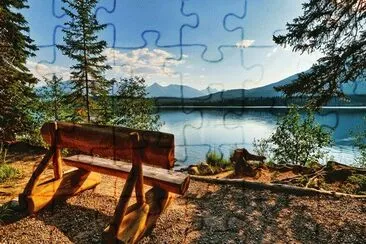 29 jigsaw puzzle