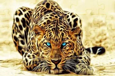Leopardo