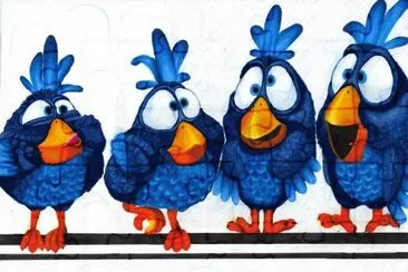 Birds