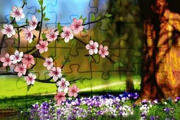 Flor de almendro jigsaw puzzle