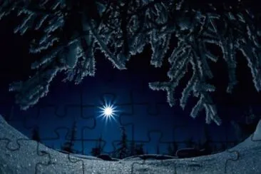 jan3 jigsaw puzzle
