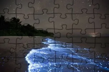 Mar de estrellas. Isla Vaadhoo.  Maldivas jigsaw puzzle
