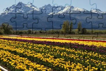 Trevelin. Chubut. Argentina jigsaw puzzle