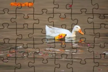 210 jigsaw puzzle