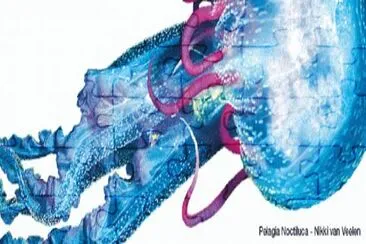 248 jigsaw puzzle
