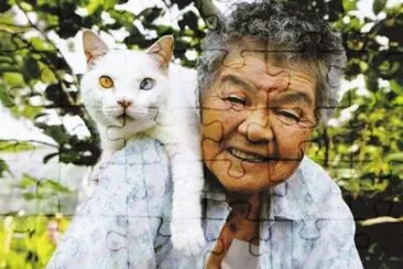 gato y seÃ±ora 2