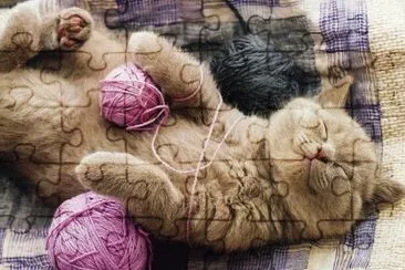 gatet jigsaw puzzle