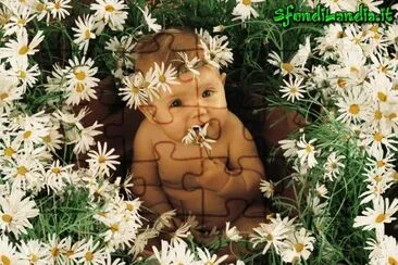 boccioli jigsaw puzzle