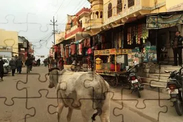 פאזל של Pushkar - India
