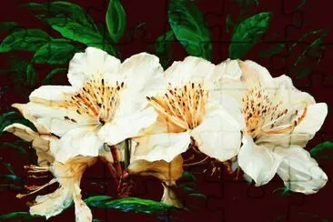 flor