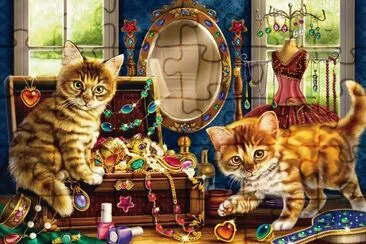 gatos