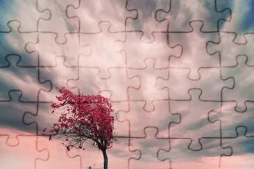 NÂº 533 jigsaw puzzle