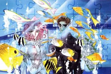 X 14 jigsaw puzzle