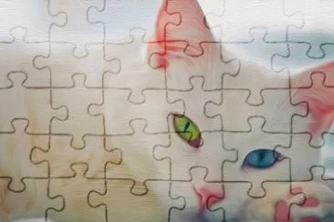 muÃ±eca jigsaw puzzle