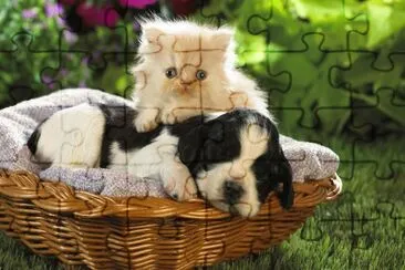 amigos jigsaw puzzle