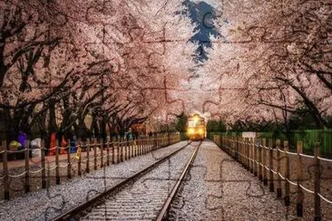 EstacioÌn de trenes en Corea del Sur