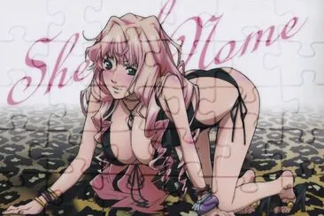 פאזל של Macross Frontier 30