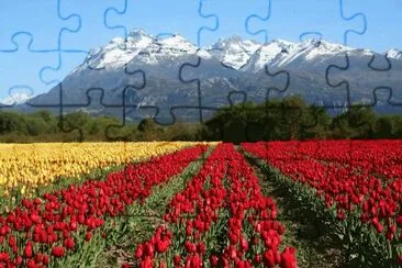 Trevelin. Chubut. Argentina jigsaw puzzle