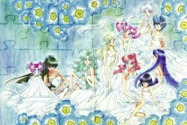Sailor Moon 9