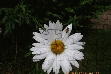 A Margarida e a Abelha jigsaw puzzle