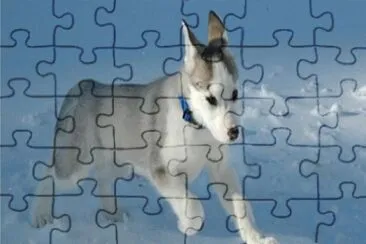 jan13 jigsaw puzzle