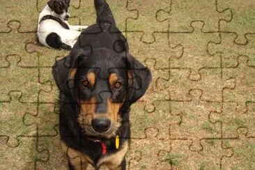 MI PERRITA jigsaw puzzle