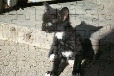 Curious jigsaw puzzle