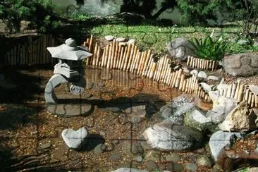 Japanese garden