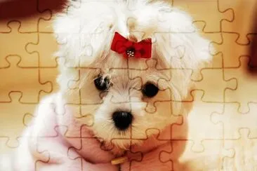 hermosa jigsaw puzzle