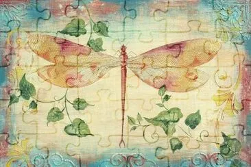 libÃ©lula jigsaw puzzle