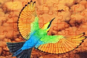 Rainbow Bee Eater