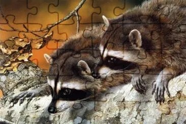 mapaches jigsaw puzzle
