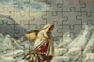 121