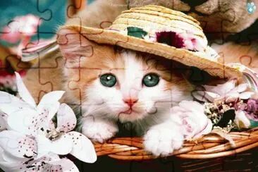gatito con sombrero jigsaw puzzle