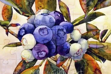 Berry 's jigsaw puzzle