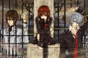 Vampire Knight 8