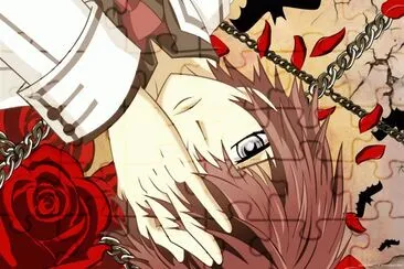 Vampire Knight 17