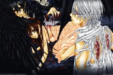 Vampire Knight 23 jigsaw puzzle
