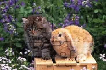 amigos jigsaw puzzle
