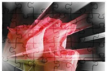 Rosas jigsaw puzzle