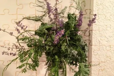 Herbs from my garden jigsaw puzzle