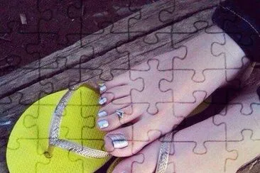 pies jigsaw puzzle